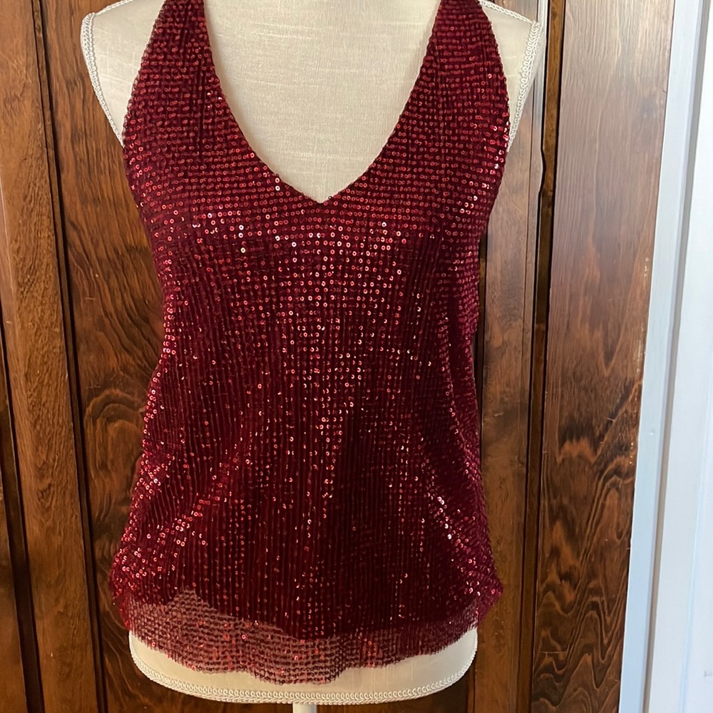 Cowel Neck Sequin Top